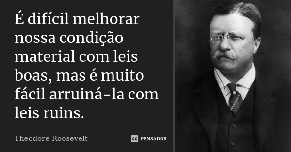 Advocacia e As Leis