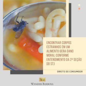 alimento com mosca