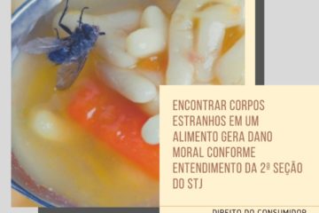 alimento com mosca